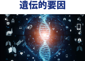 遺伝的要因